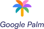 Google Palm
